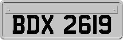 BDX2619