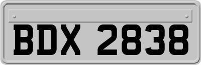 BDX2838