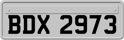 BDX2973