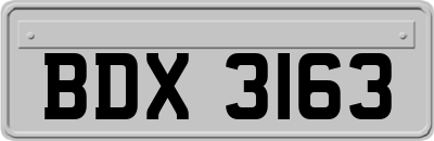 BDX3163