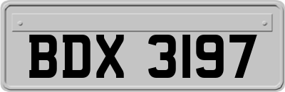 BDX3197