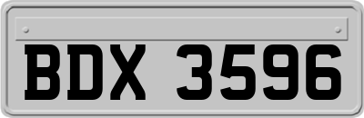 BDX3596