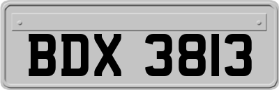 BDX3813
