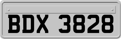 BDX3828