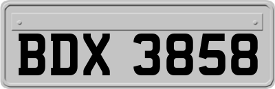 BDX3858