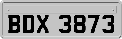 BDX3873