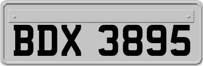 BDX3895