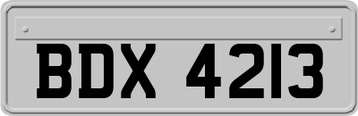 BDX4213