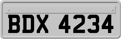 BDX4234