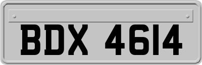 BDX4614