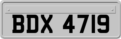 BDX4719