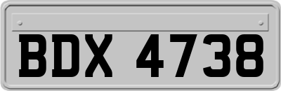 BDX4738