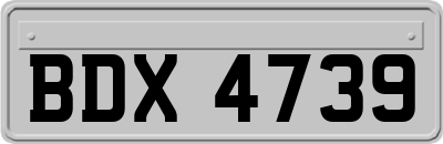 BDX4739