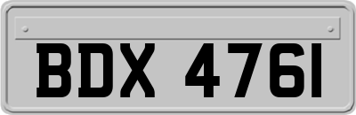 BDX4761