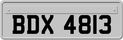 BDX4813