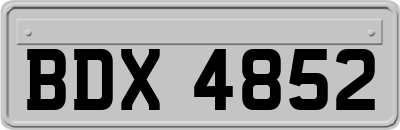 BDX4852