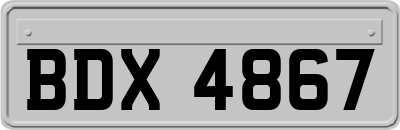 BDX4867