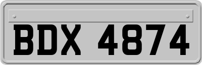 BDX4874