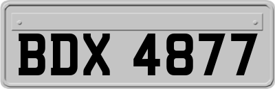 BDX4877
