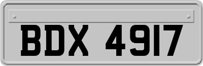 BDX4917