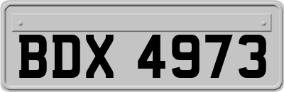 BDX4973
