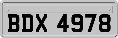 BDX4978