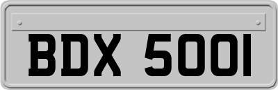 BDX5001