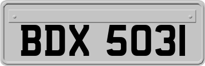 BDX5031