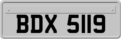 BDX5119