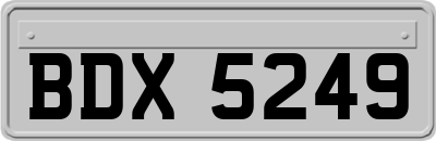 BDX5249