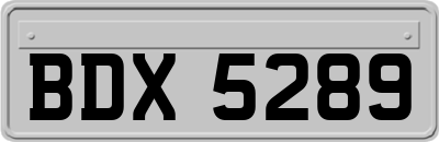 BDX5289
