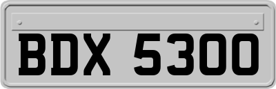 BDX5300