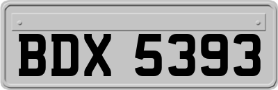 BDX5393