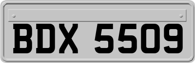 BDX5509