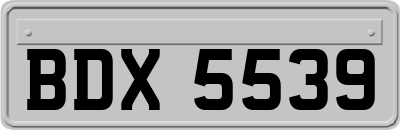 BDX5539