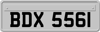 BDX5561