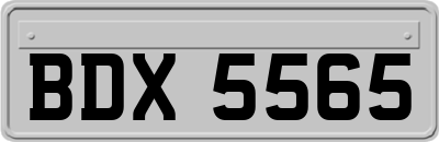 BDX5565