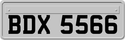 BDX5566