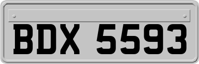 BDX5593