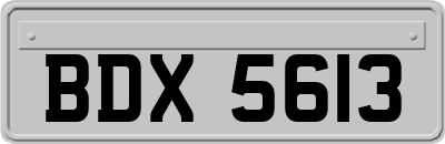 BDX5613