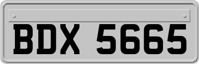 BDX5665