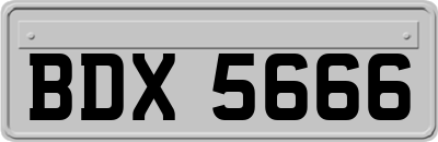 BDX5666