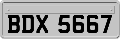 BDX5667