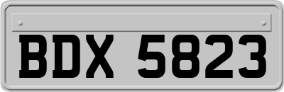 BDX5823