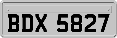 BDX5827