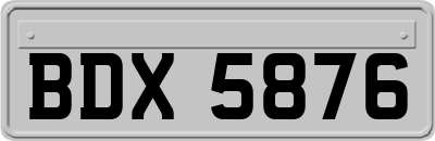 BDX5876