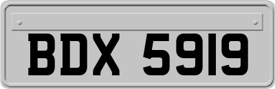 BDX5919
