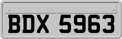 BDX5963