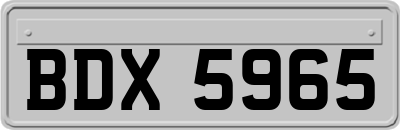 BDX5965
