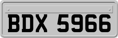 BDX5966